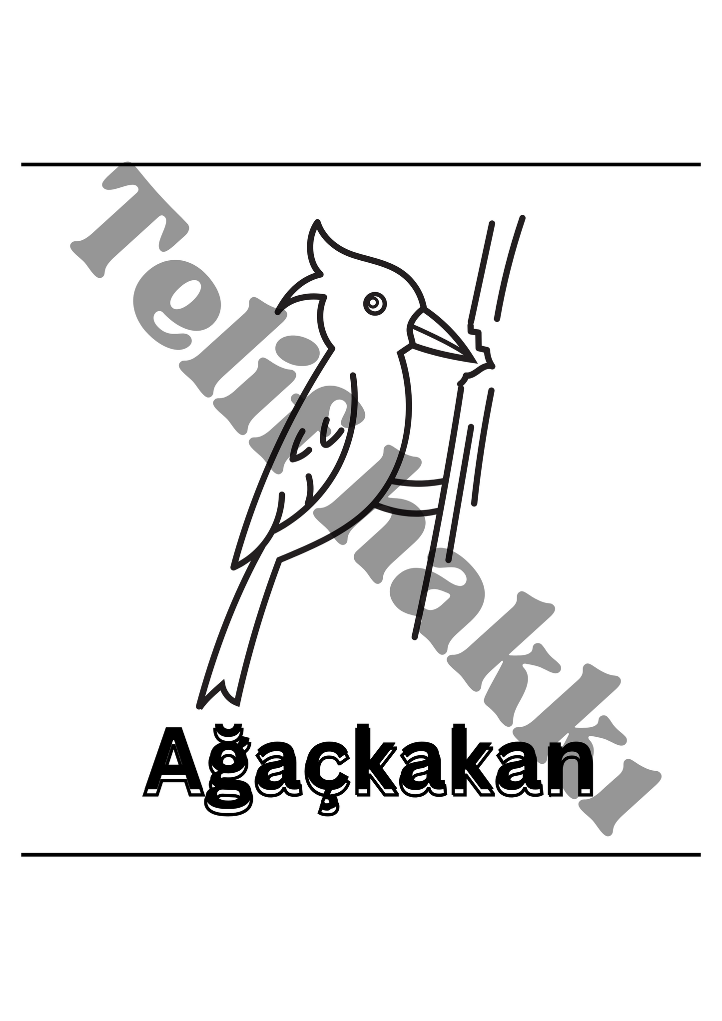 25 sayfalık eğitici hayvan boyama koleksiyonu