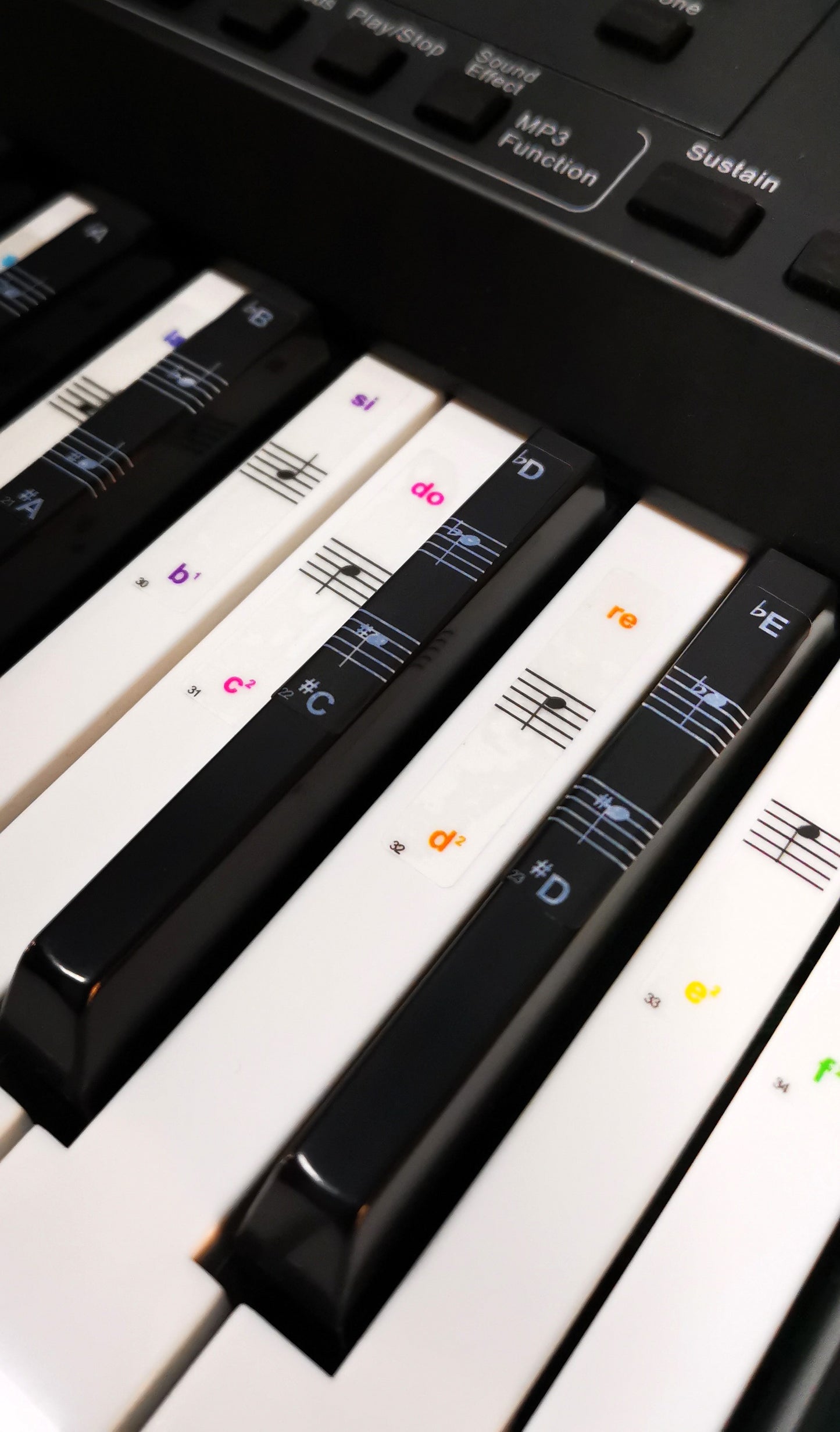 Piyano ve org tuşları için yapışkan nota etiketi – 37–88 tuşlu klavyelerle uyumlu Do Re Mi çıkartması