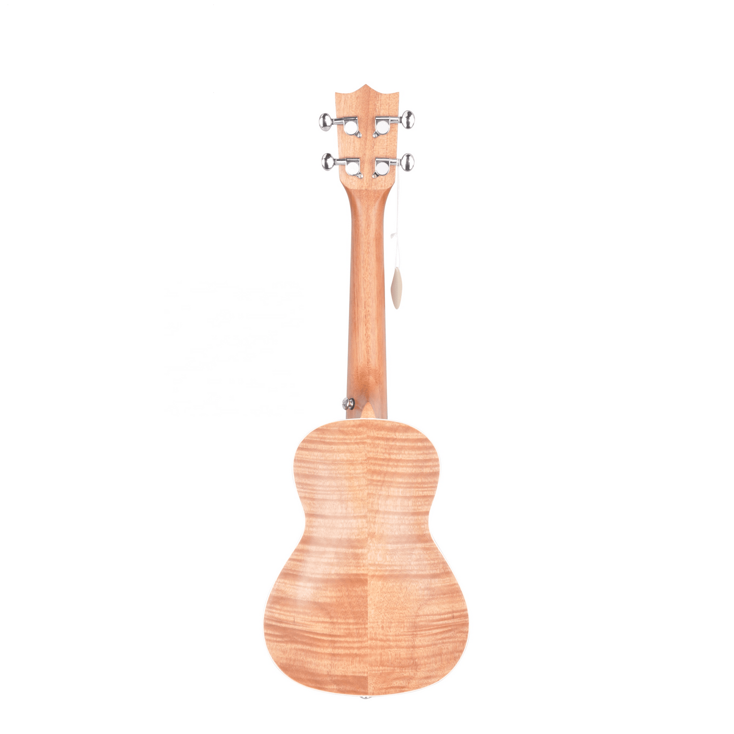 Gövde detayı – eşsiz desenli ahşap kaplama